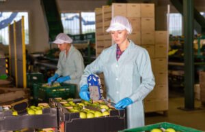 Multiple Job Openings for Foreigners in the United Kingdom